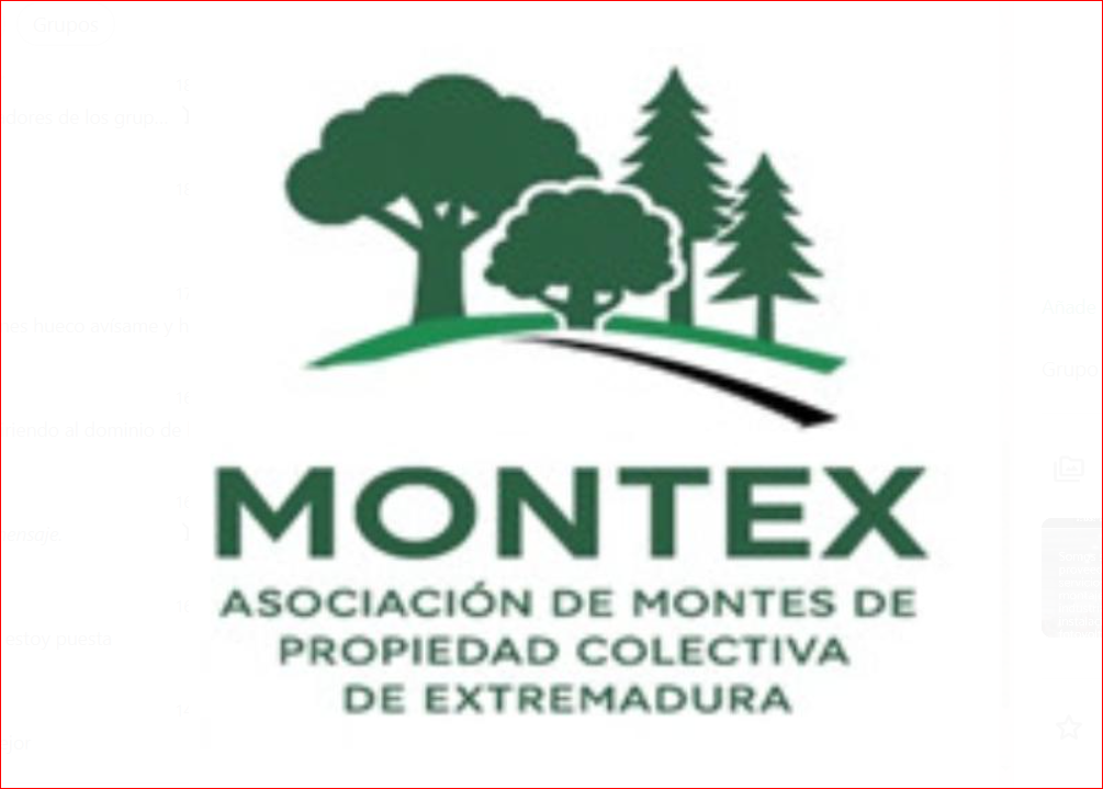 Participamos en MONTEX