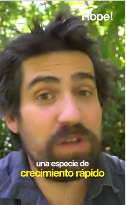 Historias para salir de la impotencia frente a los incendios