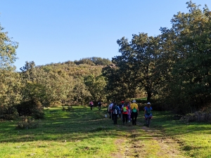 Cómo es nuestro monte