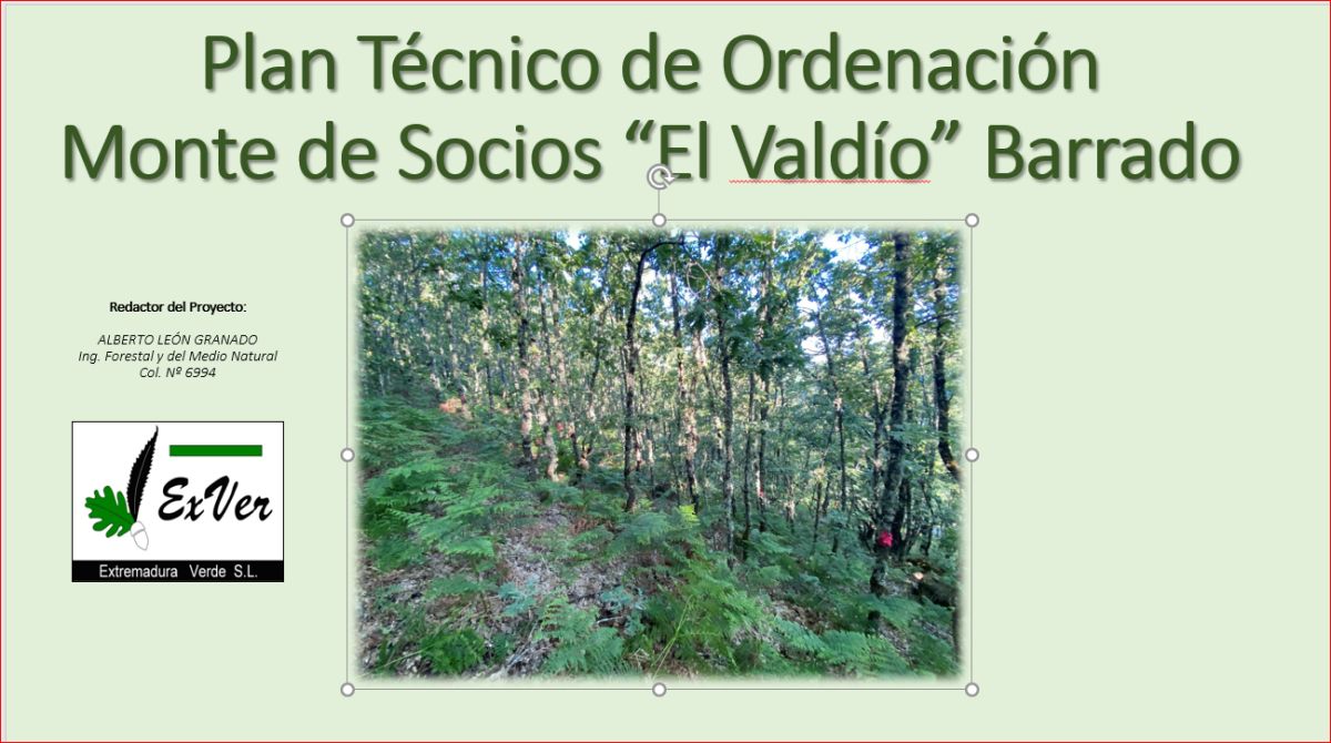 Plan de Ordenación Forestal