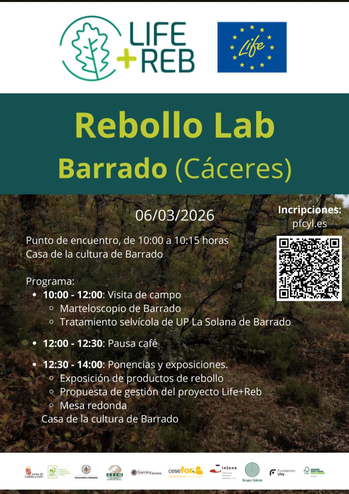 Galería