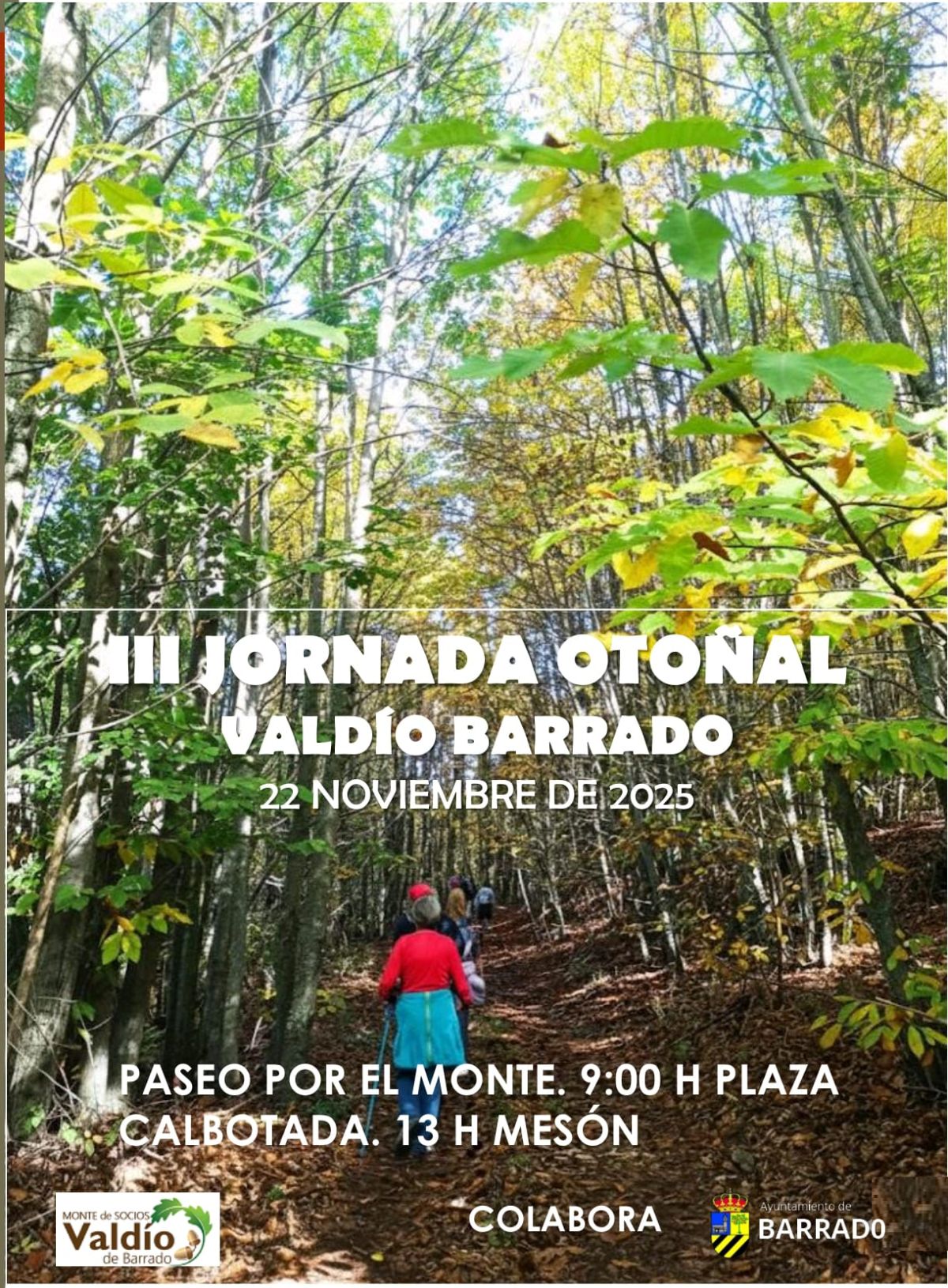Galería
