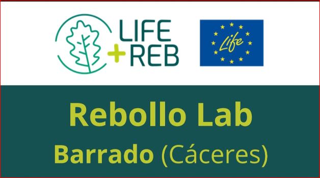 Jornada Rebollo Lab en Barrado 